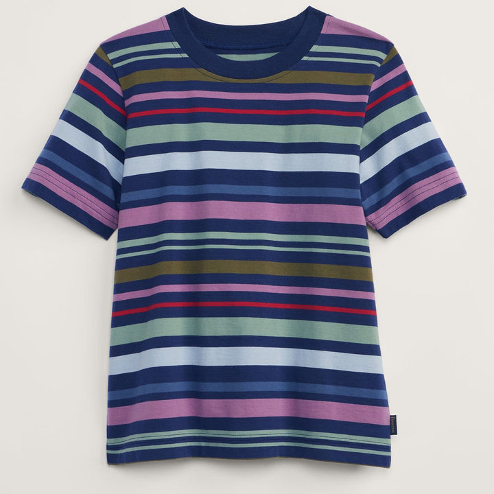 Deschutes Crew Neck Tee | Navy Stripe