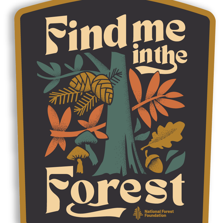 Find Me in the Forest Sticker