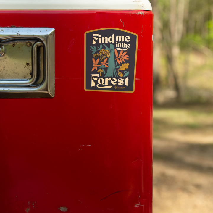 Find Me in the Forest Sticker