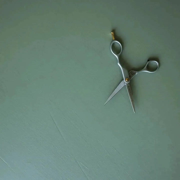 Beard Trimming Shears