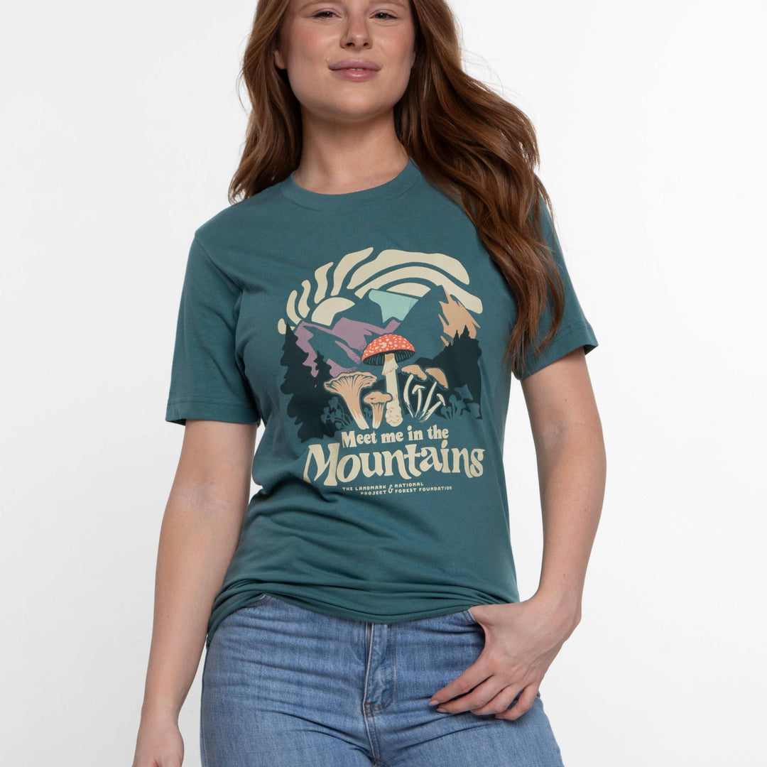 Meet Me in the Mountains Tee