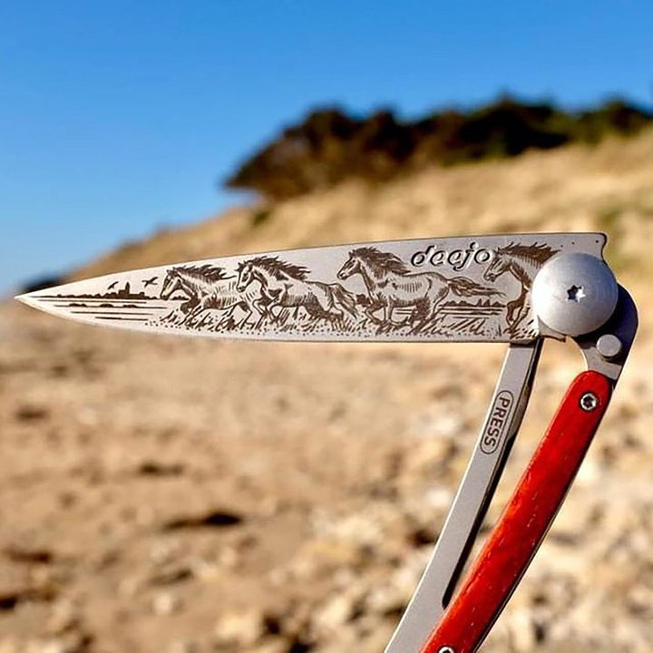 Coral Wood Folding Knife | Wild Horses
