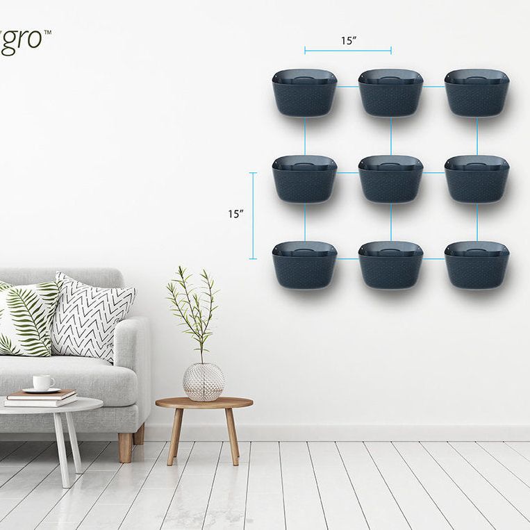 Wally Eco | Charcoal