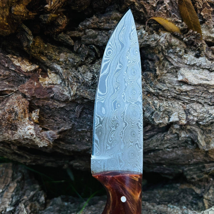 Damascus knife, Drop- Style blade, Acrylic Scales Hunting knife
