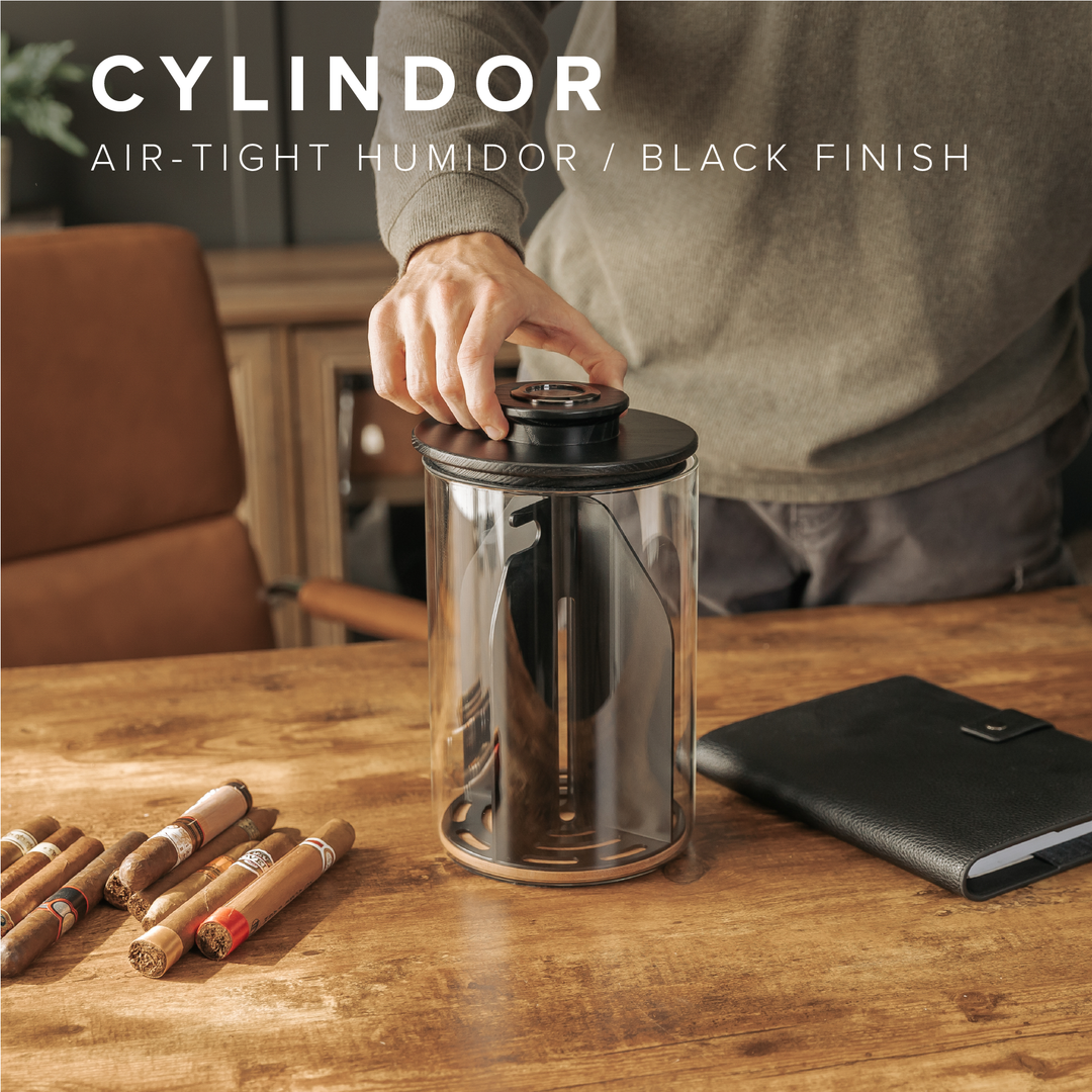 Cylinder Ashwood Humidor