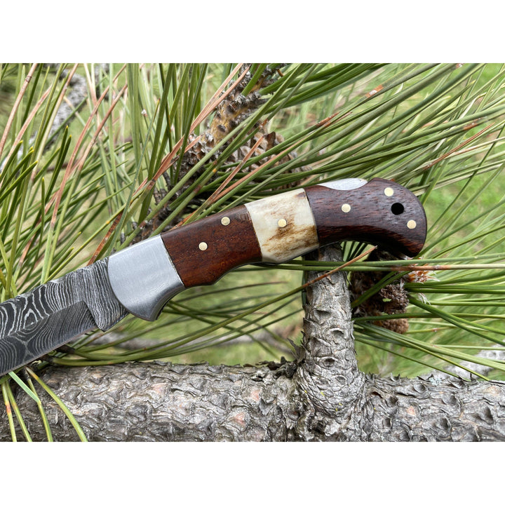 POCKET KNIFE WALNUT WOOD & STAG
