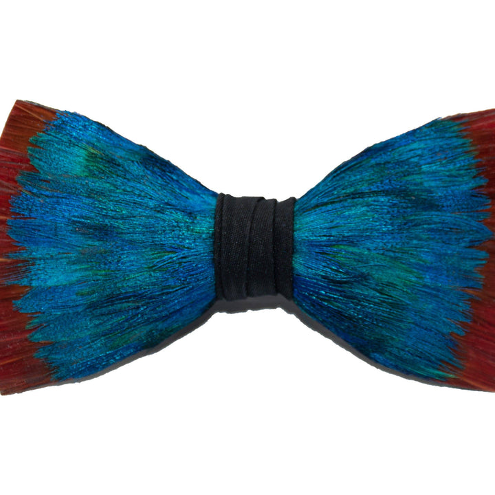 Feather Bow Tie Number 1