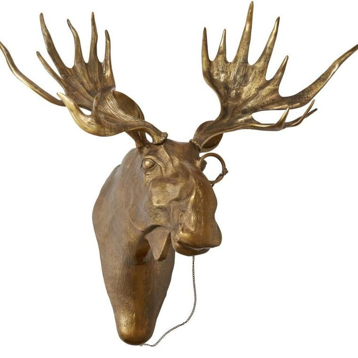 Moose Head