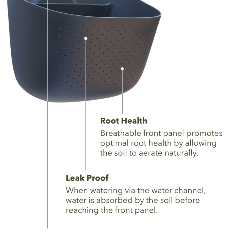 Wally Eco | Charcoal