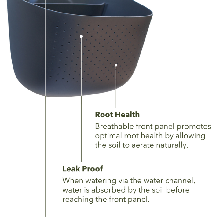 Wally Eco | Charcoal