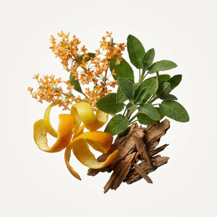 OAIRE Eau de Parfum 7.5mL
