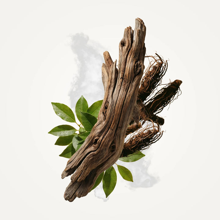 Sandalwood Fragrance Tonic