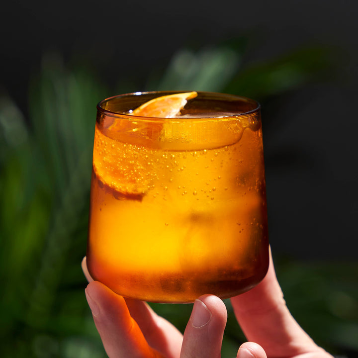 Aurora Cocktail Tumblers