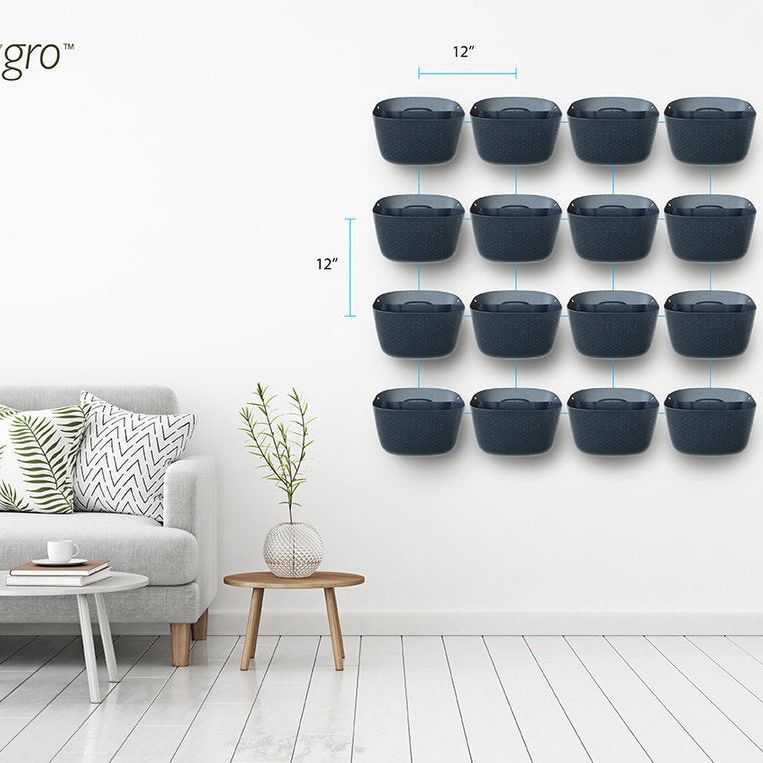 Wally Eco | Charcoal