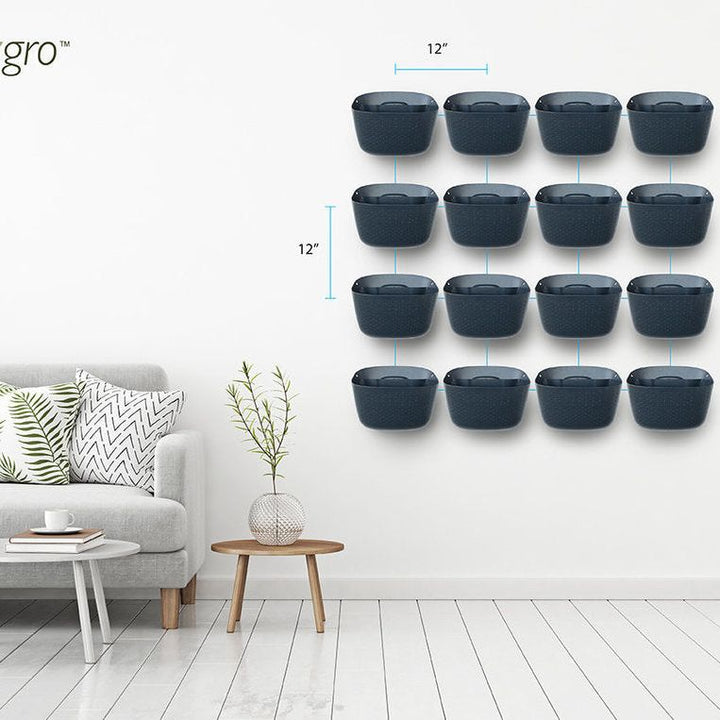 Wally Eco | Charcoal