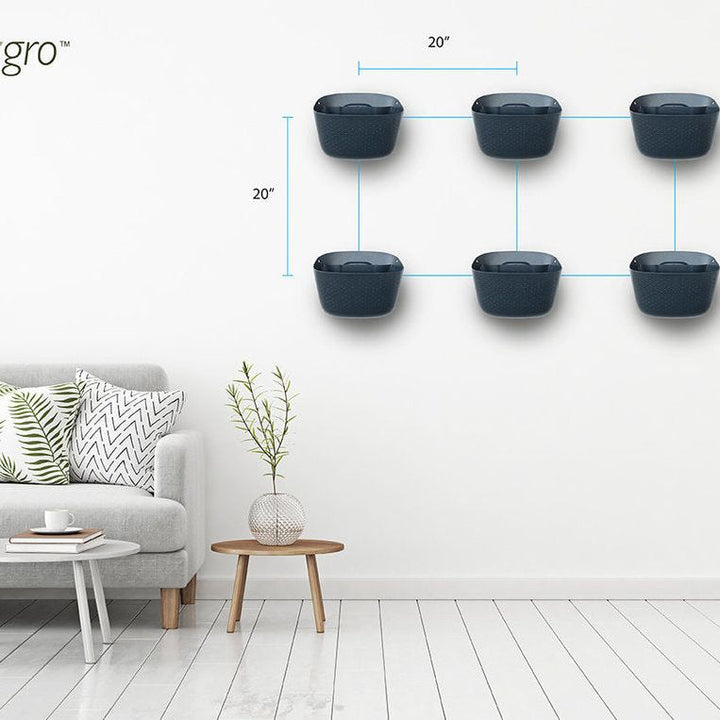 Wally Eco | Charcoal