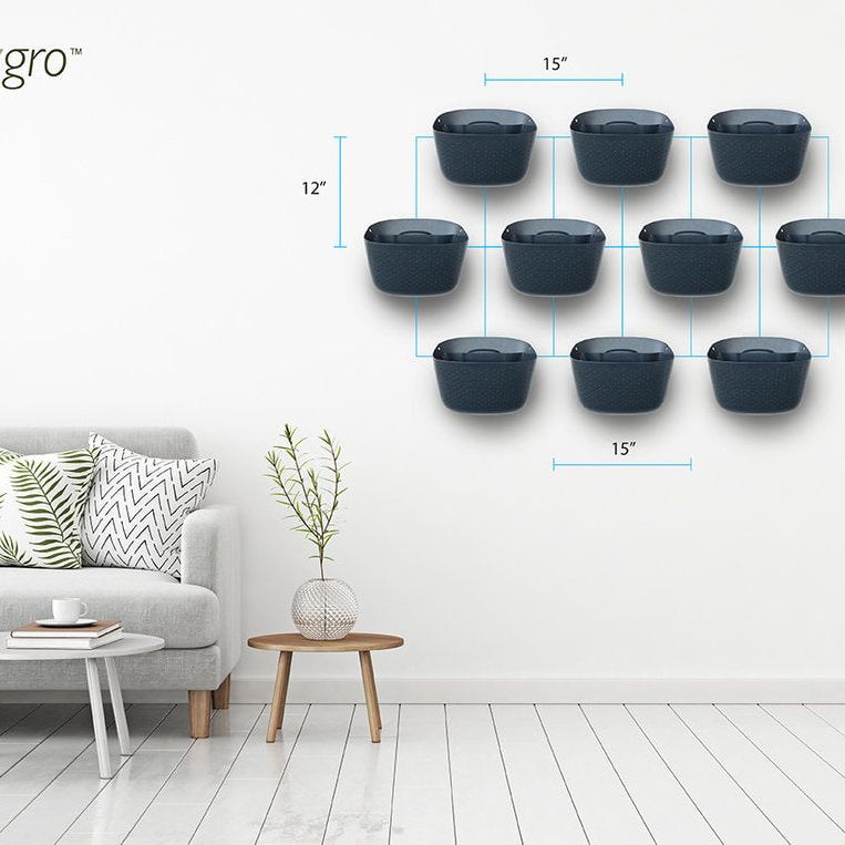 Wally Eco | Charcoal