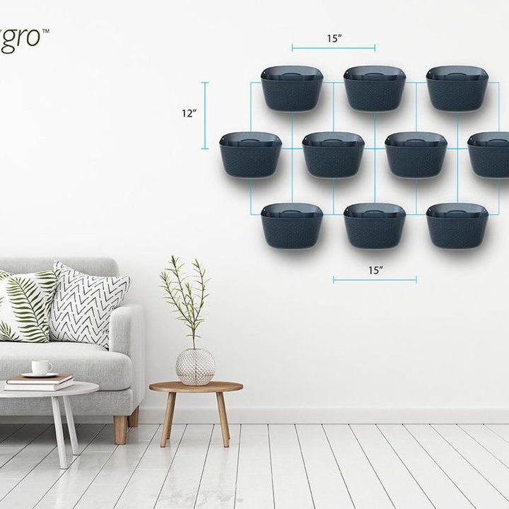 Wally Eco | Charcoal