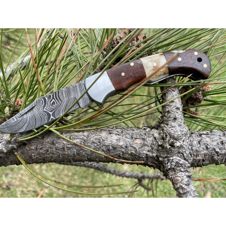 POCKET KNIFE WALNUT WOOD & STAG