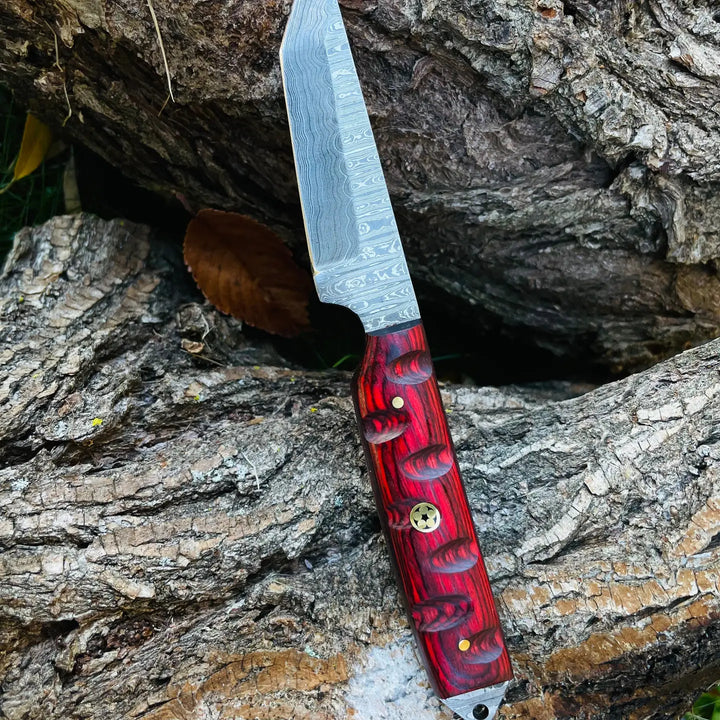 Damascus Steel Compact Tanto Kendo