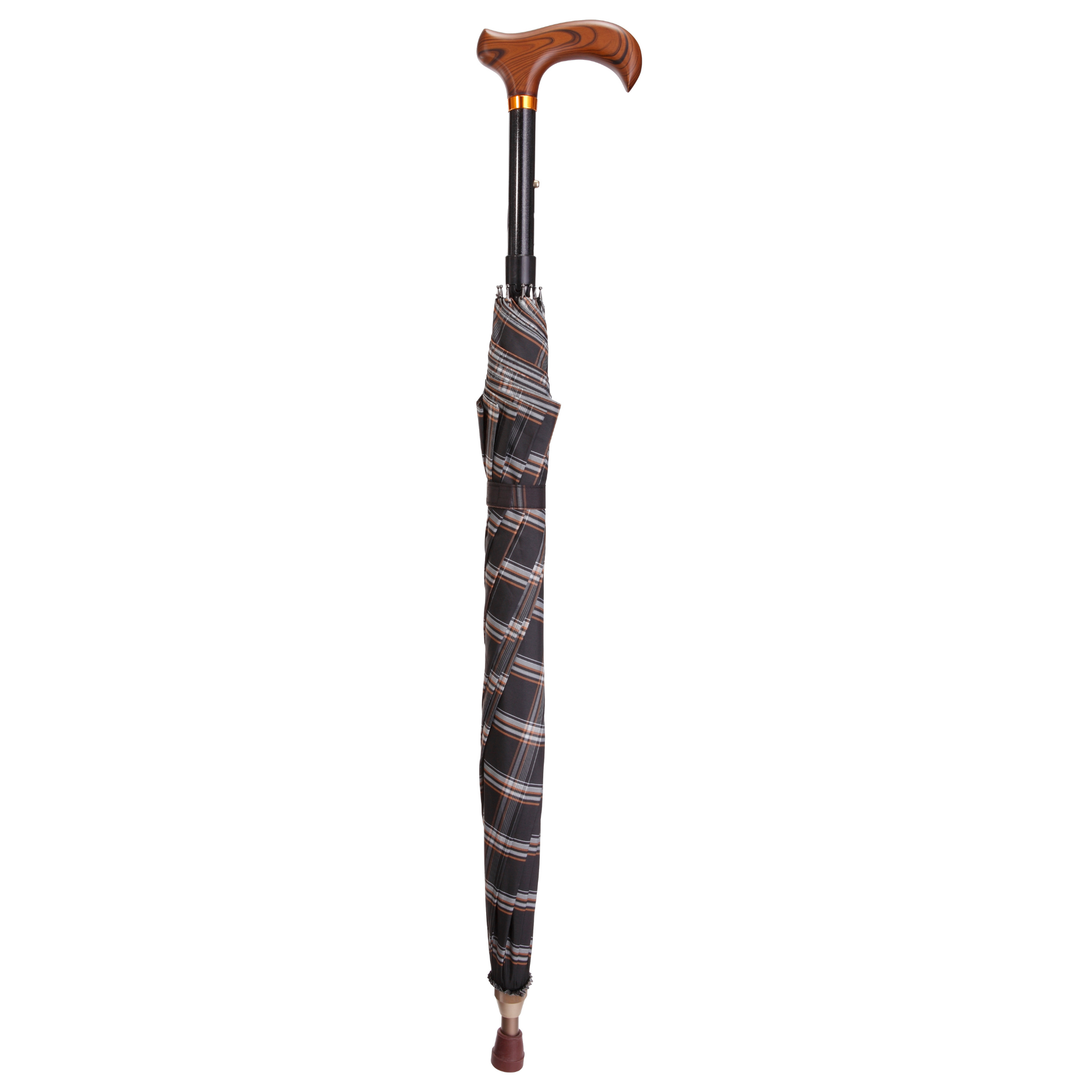 Umbrella Cane