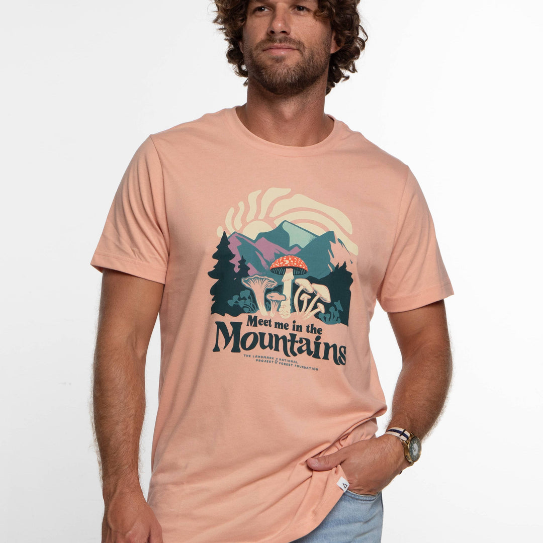 Meet Me in the Mountains Tee