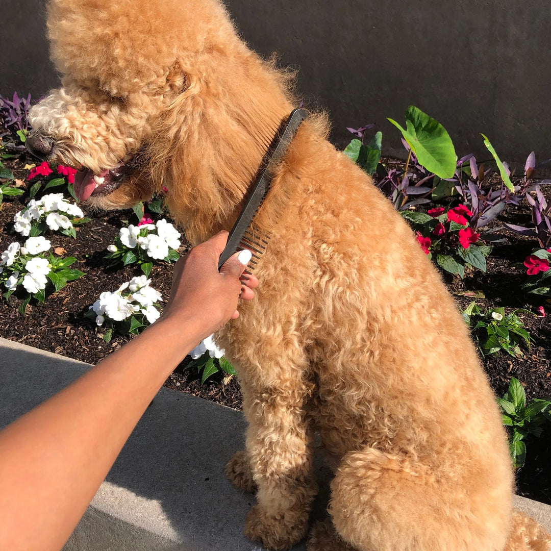 The Pet Comb