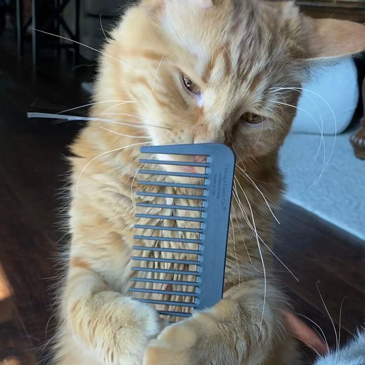 The Pet Comb