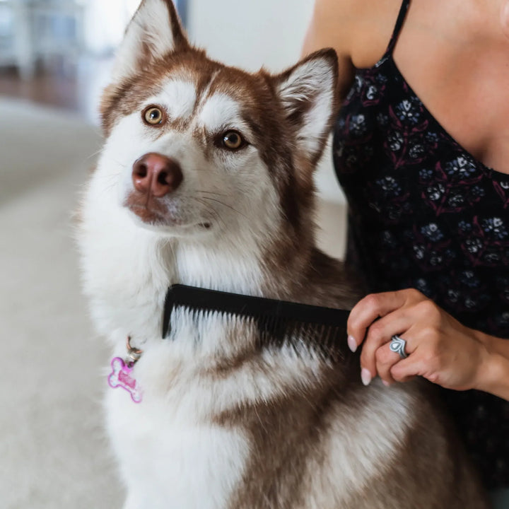 The Pet Comb
