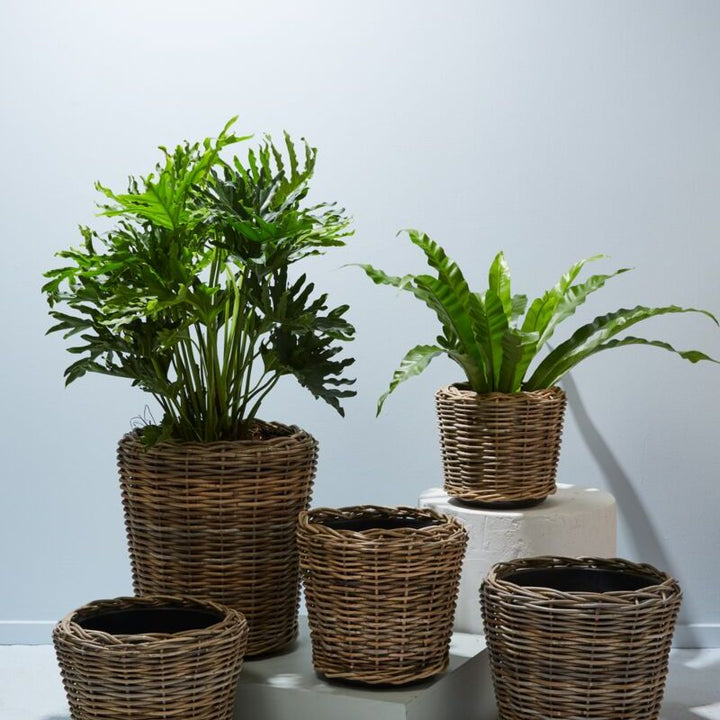 Blake Rattan Basket
