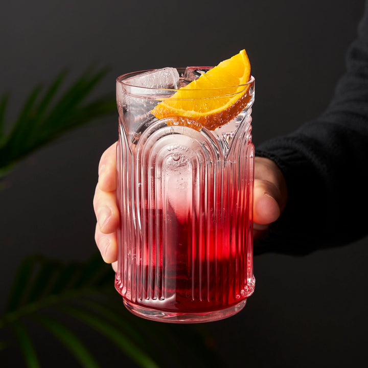 Speakeasy Highball Glasses