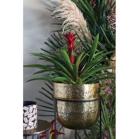 Forum Plant Stand