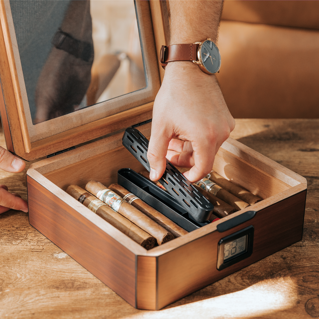 MAG Humidor | Walnut Finish