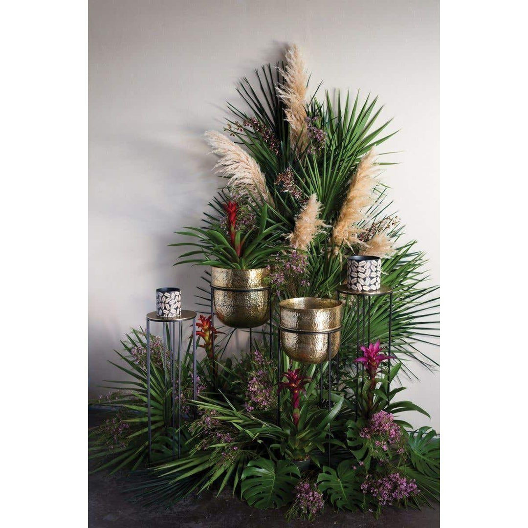 Forum Plant Stand